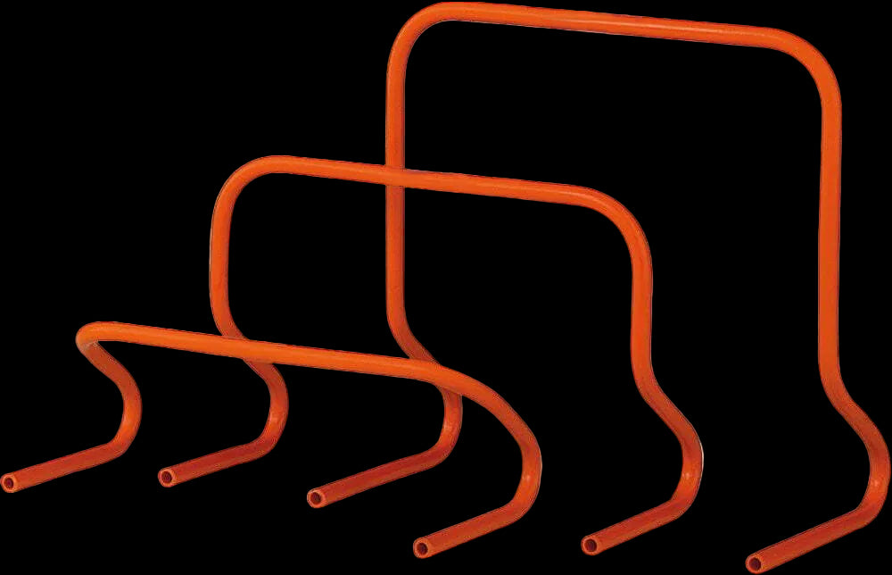 Training Hurdle